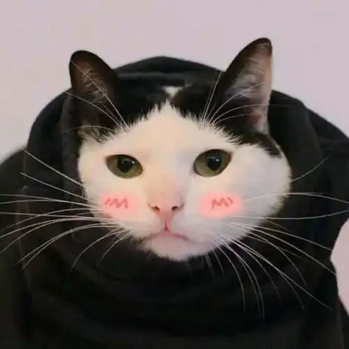 遇见你,是我的小幸运