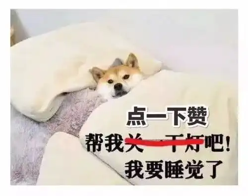 直播南宁地铁2号线今天正式开门迎客