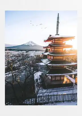 日本东京风景图片大全熊猫办公