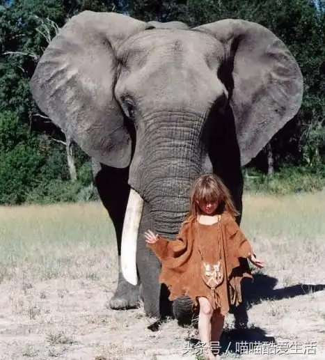从出生就跟野兽一起生活,她的事迹成了传奇和经典