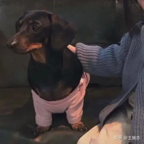有没有什么一见就爱的萌童头像