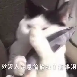 椰子从海南快递到长春,冻成椰奶冰沙...椰子我南方来的,我受不了