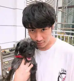 测试一个超长简介的文章