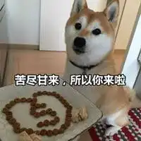 苦尽甘来图片带字微信头像图片大全