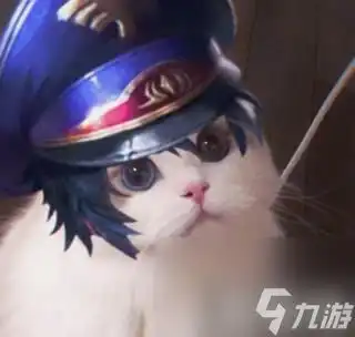 九游游戏中心王者荣耀猫咪刺客头像大全