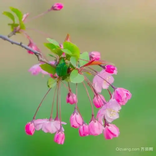 测试一个超长简介的文章