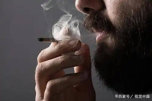人体一天可以承受多少支烟温馨提示尽量别超过这个数