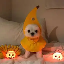 当代大学生的解压方式