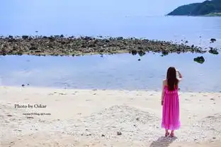 手拉手一起走,小小情侣偷偷游三亚