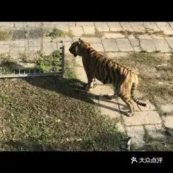 电话,地址,价格,营业时间深圳周边游