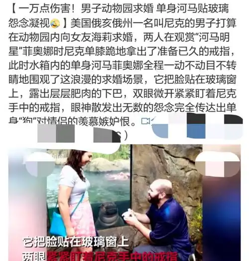 你想要怎样的浪漫求婚男网友是我穿婚纱求的好吗
