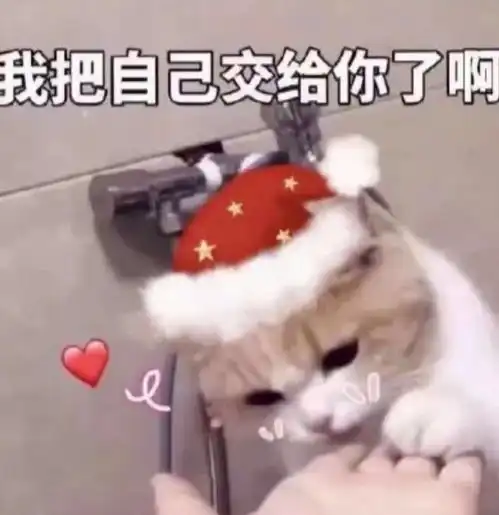 圣诞节要到了,快给你喜欢的人准备好文案吧