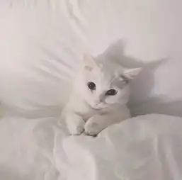 头像青春那么短暂,我怎么能卑微地活着