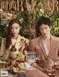 最少也有1个亿2017中国最有钱的十大明星夫妻档黄晓明夫妇出场打包价300万范冰冰每分钟能赚6万