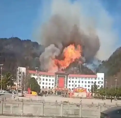 测试一个超长简介的文章