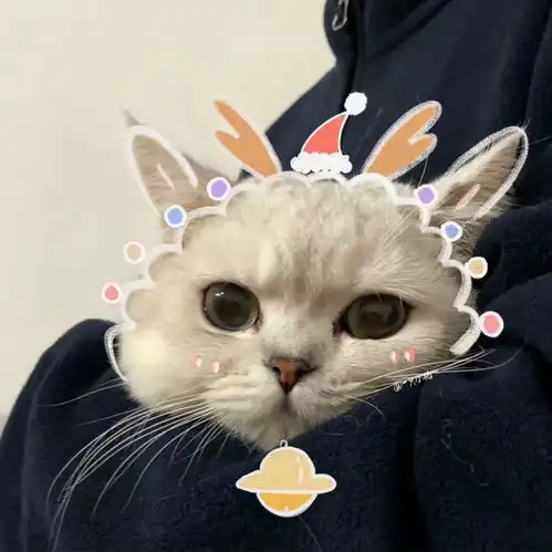 我的收藏夹