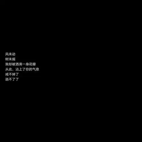 测试一个超长简介的文章
