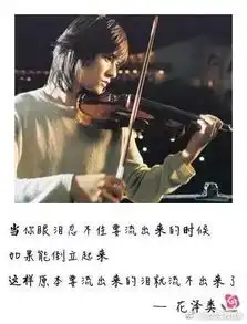 新流星花园,吸睛无数的原因竟是