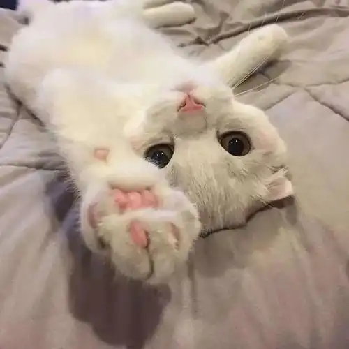 听说深圳有家神店大牌音箱半价,周特价商品亮瞎眼球