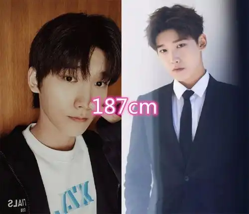 你是我的命中注定演员身高,王析翊狄伦都是大长腿,看到安森不应该啊
