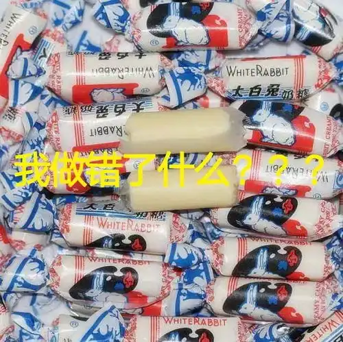 海关大大大白兔奶糖里含有兔肉没收留学生过海关史上最强冤案