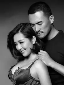 樊昊仑说赫子铭被何洁家暴,是造谣还是离婚真相