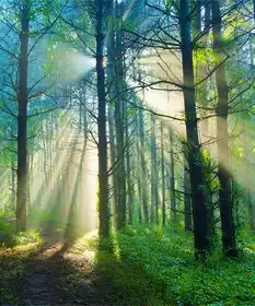 人生如旅途,最美的感觉不是在到达终点后方堆糖,美好生活研究所