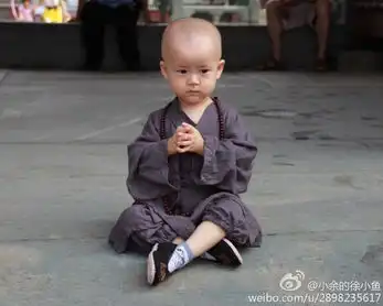 武当山玉虚宫的呆萌小和尚