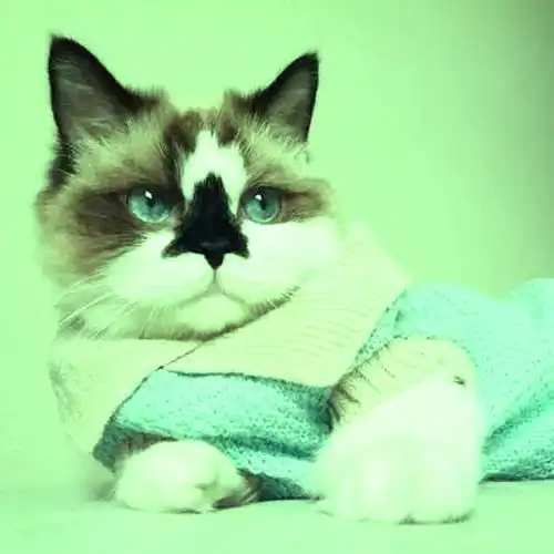 怎么统一实现点关于椭圆极线的作图