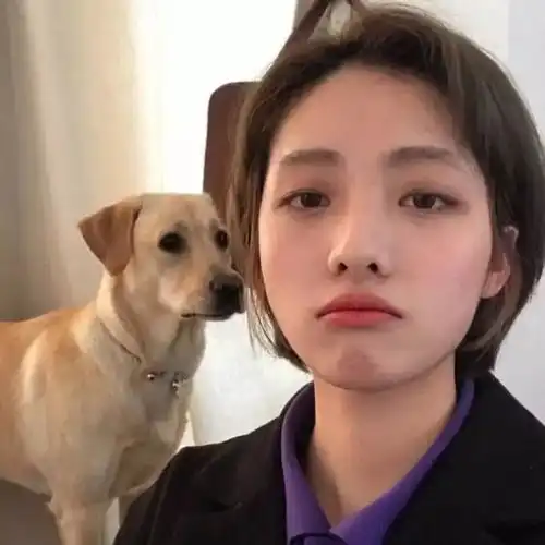 男生女生头像