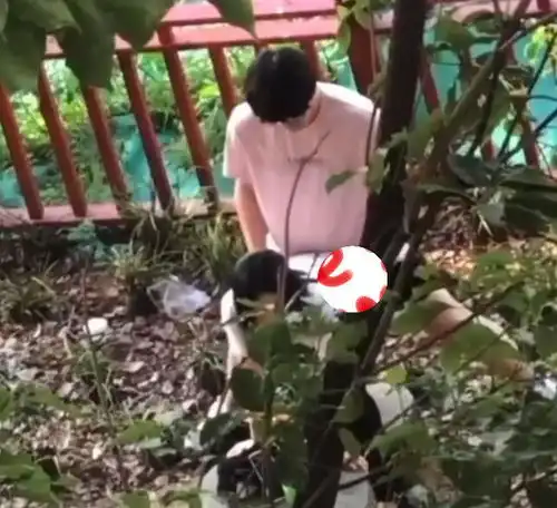 情侣在小树林甜蜜互动,翘臀跪地迎合男友,动作野蛮没感情