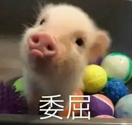 高级渣男特点拥有超多可爱喵喵表情包