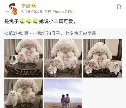 兔子什么都知道除了张继科景甜,娱乐圈以兔子定情的情侣真不少