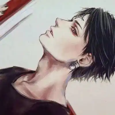 海贼王q版男生头像
