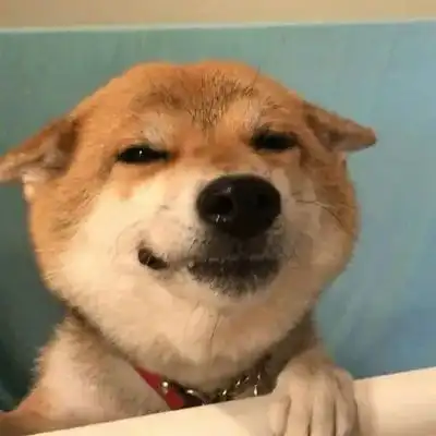 测试一个超长简介的文章