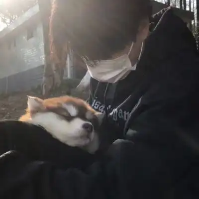 富有青春感的男生头像真人
