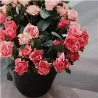 测试一个超长简介的文章