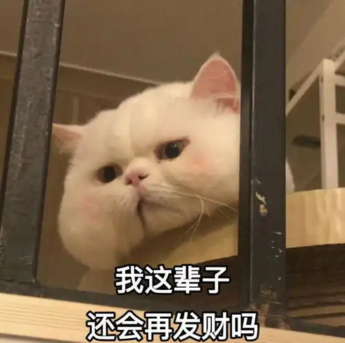 沙雕又可爱的朋友圈文案幸亏长得丑,没经历过各位的爱恨情仇