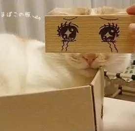 qq情侣头像要好看的不要闪图