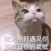 姐妹们听我说表情包