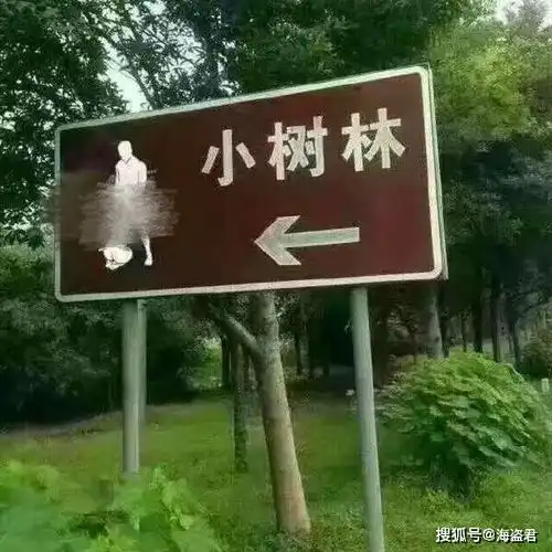 广西警方突击一野外小树林,捣毁一卖淫窝点,当场抓获12名男子和2名女子