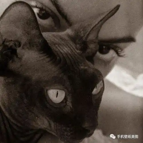 抖音头像渣女,渣男头像,请查收