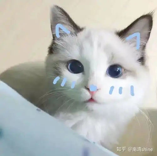 高考生物如何考满分