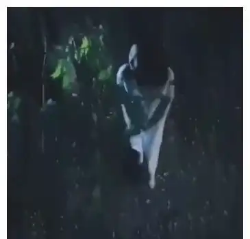 晚上树林里约会,男的想要刺激点