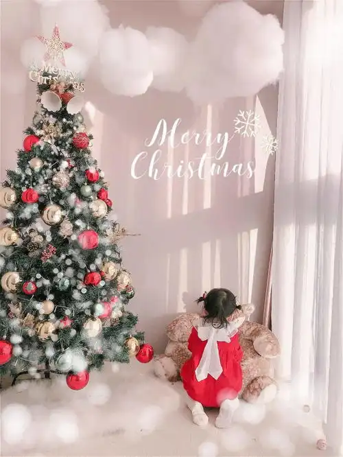 圣诞氛围感的打造,怎么能少得了ta们