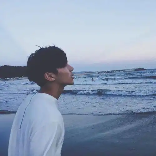 测试一个超长简介的文章