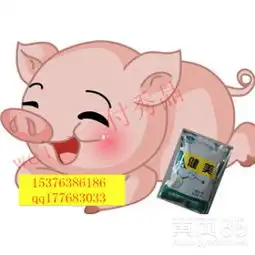 育肥猪调节肠道专用益生菌-黄页88网