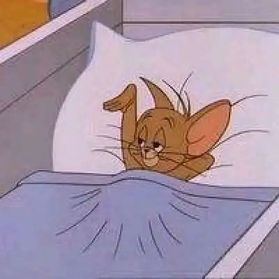 猫和老鼠就是要陪你一辈子