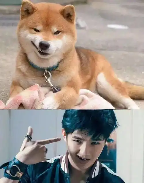 刘昊然,用最纯的初恋脸开最猛的小货车