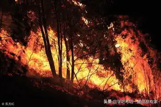 2019年安全工程师管理知识考点之灭火器的使用及保养